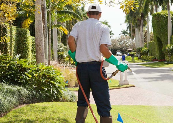 About Indianola PA Pest Control Pros